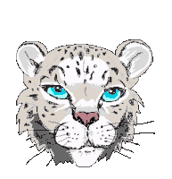 Snow Leopard Head Sticker - Snow Leopard Head Blink Stickers
