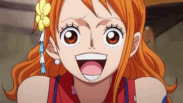 NAMI CRIES FOR LUFFY!!