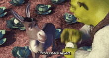 Shrek Onions Have Layers GIF - Shrek Onions Have Layers Layers GIFs