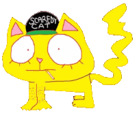 a yellow cat with a scaredy cat hat on