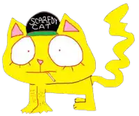 a yellow cat with a scaredy cat hat on