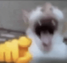 a blurry picture of a cat with its mouth open and a yellow hand in the background .
