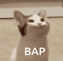 Bap Popcat GIF - Bap Popcat GIFs