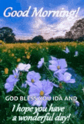 a good morning card with purple flowers in a field .