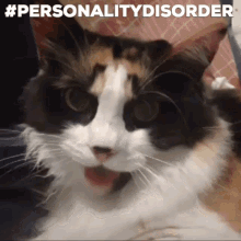 Personalitydisorder Cat Personality Disorder GIF