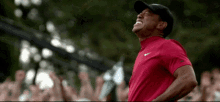 Tiger Woods Golf Player GIF