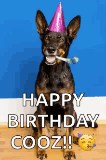 Birthday Dog GIF - Birthday Dog Cooz GIFs