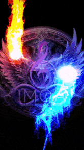 a tmc logo with flames and wings in the center