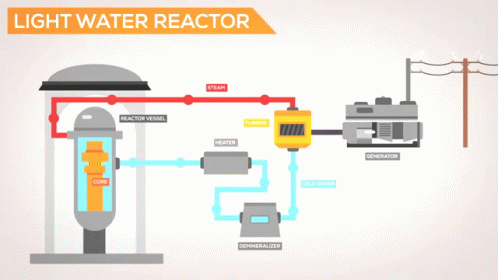 lwr reactor