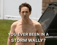 a shirtless man stands in front of a car with the words " you ever been in a storm wally " above him