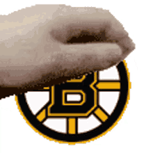 boston bruins bruins hockey nhl vibes