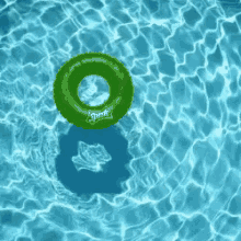 Lonely Swimming GIF - Lonely Swimming Pool GIFs