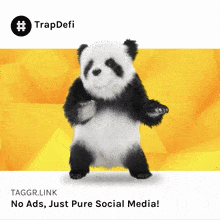 a panda bear on a yellow background with the words taggr.link no ads just pure social media below it
