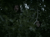 a man and a girl are hiding behind a tree