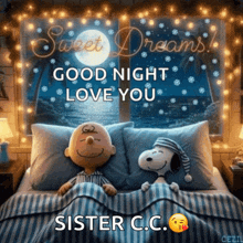 a picture of snoopy and charlie brown sleeping in a bed with the words good night love you sister c.c.