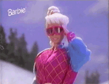 Barbie Snowball GIF