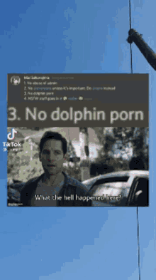 a picture of a man hanging from a rope with the caption " no dolphin porn what the hell happened here "
