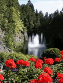 Red Flowers GIF - Red Flowers Trees GIFs