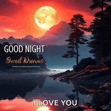 a good night sweet dreams message with a full moon