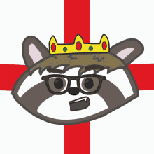 Sebubu Raccoon GIF - Sebubu Raccoon Flag GIFs