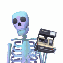 skeleton photo