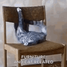 Cat Furniture GIF - Cat Furniture Playtime GIFs