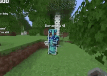 a person in a minecraft video game is standing in a field with trees in the background .