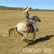 Cowboy Cody Harris GIF - Cowboy Cody Harris The Cowboy Way GIFs