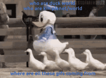 Duck World Kin Planet GIF