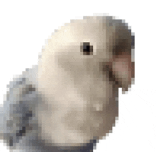 Pixel Bird22213 GIF - Pixel Bird22213 GIFs