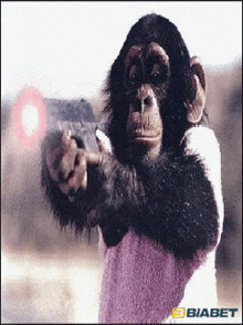 Maymun çatışma GIF - Maymun çatışma GIFs