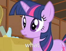 twilight sparkle from my little pony is standing in front of a box that says what