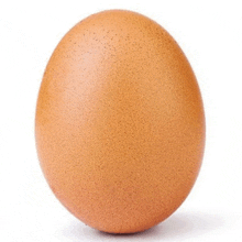 яйцо яйко GIF