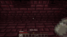 n3rdh3rdchannel optix sleep in the nether minecraft dont sleep in the nether