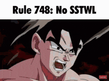 Sstwl Rule GIF - Sstwl Rule 748 GIFs