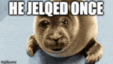 Jelqing Seal Jelqing GIF