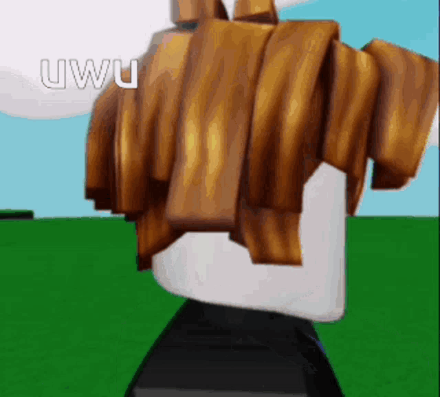 roblox meme animations bacon hair｜Pesquisa do TikTok