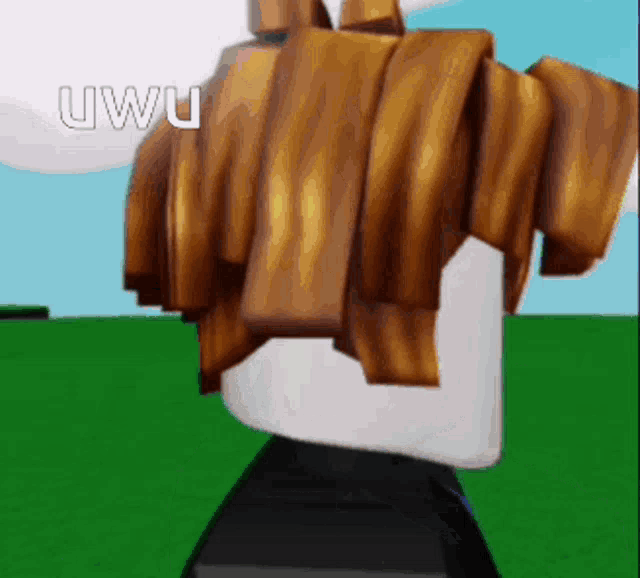 😳 #acornhair #baconhair #bacongroup #roblox #fyp #animation