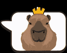 Capybara Heheheha GIF