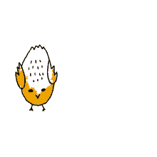 bird yellow chicken circle chick