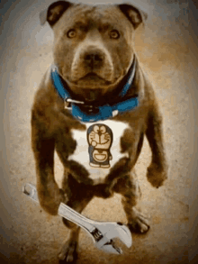 Very Angry Dog Dog GIF - Very Angry Dog Dog Wrench GIFs