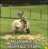 a cartoon of a person standing next to a sheep with the caption meanwhile in nightfall 's farm