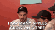How Many Apples Grow On A Tree Dad Joke GIF - How Many Apples Grow On A Tree Dad Joke Pun GIFs