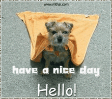 Have A Nice Day Greetings GIF