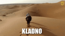 a person is riding a camel in the desert and the word kladno is on the bottom