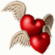 I Love You So Much Love Hearts And Angel Wings GIF - I Love You So Much Love Hearts And Angel Wings Love You GIFs