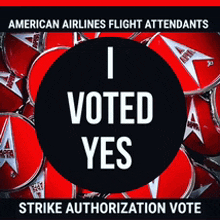 Aa Flight Attendants I Voted Yes GIF - Aa Flight Attendants I Voted Yes Apfa GIFs