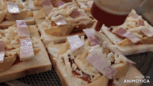 a bunch of sandwiches are sitting on a table with the words made in animatica on the bottom