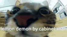 lemon demon cabinet mam cabinet man