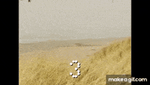 a helicopter is flying over a field of tall grass and dust is flying in the air .
